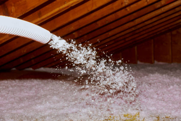 Best Types of Insulation in Homestead, FL